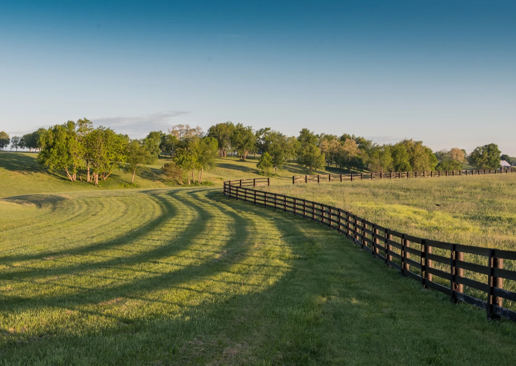 How Much Land Do I Need to House Horses in Kentucky?
